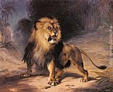 A Lion by William Huggins